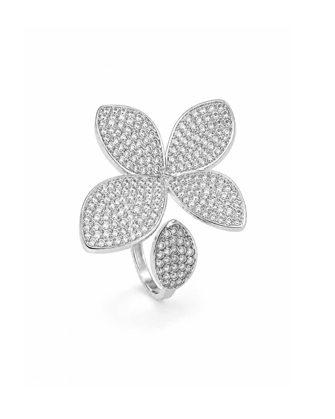 Brunni Ring